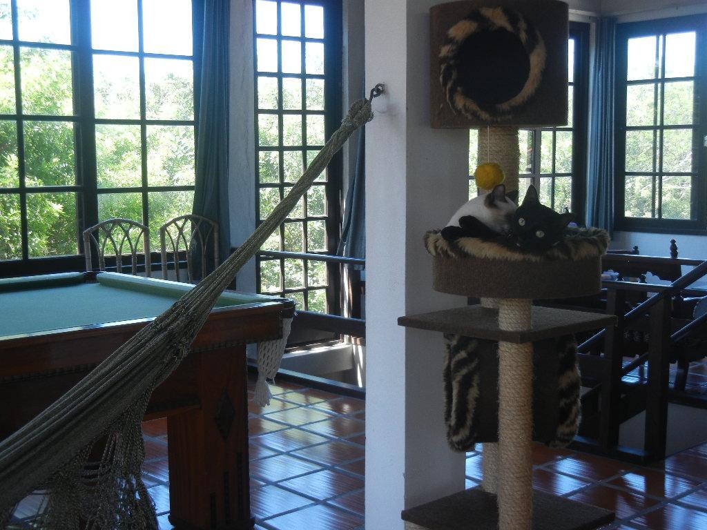 The Cats' House 호텔 Florianópolis 외부 사진