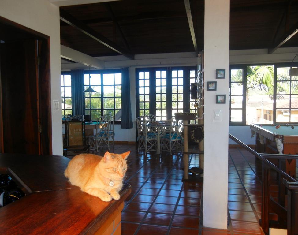 The Cats' House 호텔 Florianópolis 외부 사진