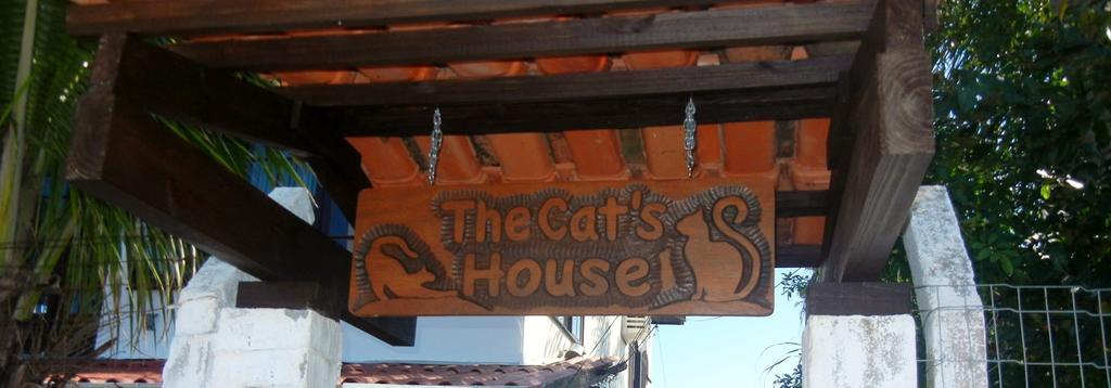The Cats' House 호텔 Florianópolis 외부 사진