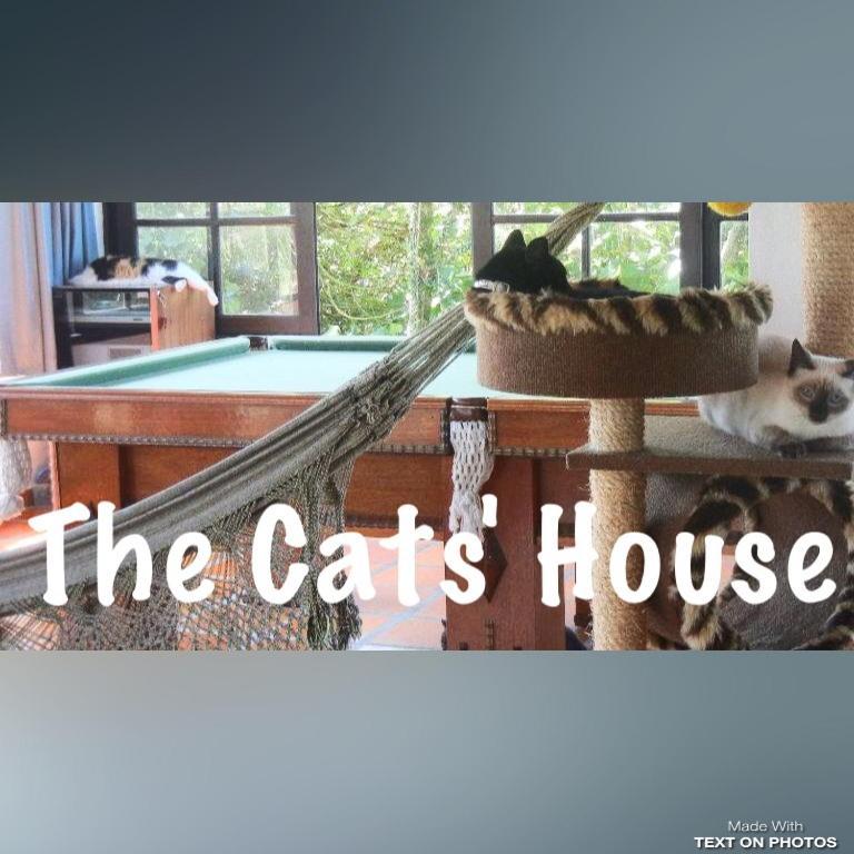 The Cats' House 호텔 Florianópolis 외부 사진