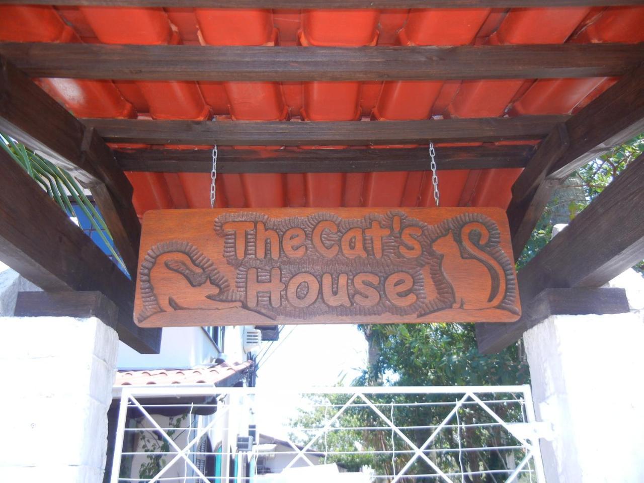 The Cats' House 호텔 Florianópolis 외부 사진
