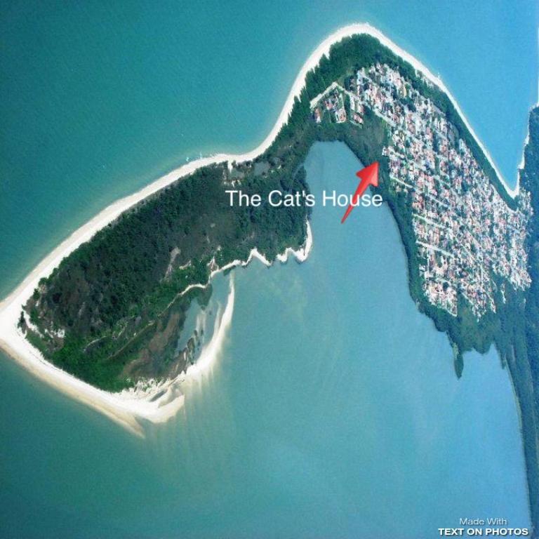 The Cats' House 호텔 Florianópolis 외부 사진